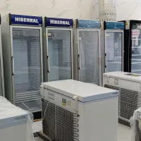 یخچال‌ هیبرنال