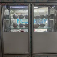 یخچال ایستاده مرغی