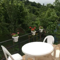 کلبه سویئسی در ماسال|اجارهٔ کوتاه‌مدت آپارتمان و سوئیت|ماسال, |دیوار