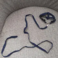 قلاده خرگوش