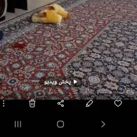 فرش ۱۲ متری دو عدد