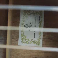 گیتار grape e310|گیتار، بیس، امپلیفایر|بوشهر, |دیوار