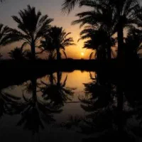 لوتوس بزن ازم جایزه بگیر