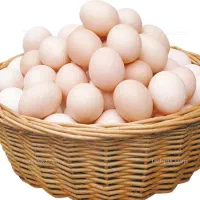 فروش تعدادی تخم مرغ محلی
