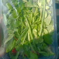 سبزی خوردن بسته بندی پاک شده