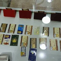 کل طلای نو با12%