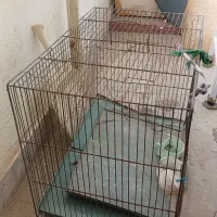 قفس پرنده