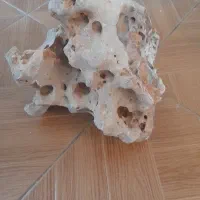 سنگ اکواریوم