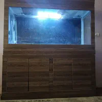 آکواریوم