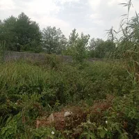 فروش زمین 200متری درپل تالشان|فروش زمین و ملک کلنگی|رشت, شهرک احمد خمینی|دیوار