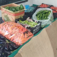 وسایل میوه فروشی|فروشگاه و مغازه|ساوه, |دیوار