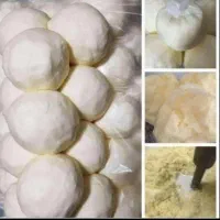 کره محلی گاو