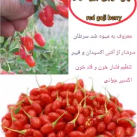 رویال نهال(فروش تخصصی نهال های میوه کمیاب درشیراز)