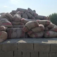 ن سیمان مدلل درکامیاران یه صورت عمده وجزئی