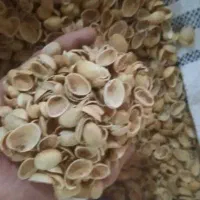 پوست پسته