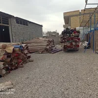 قالیشویی پاکشوما