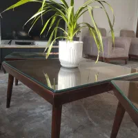 جلومبلی و میز عسلی