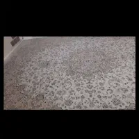 دوتا فرش ماشینی  ۹متری و ۱۲ متری|فرش|نوشهر, |دیوار