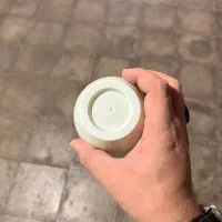 گلدان پلاستیکی|گل و گیاه طبیعی|تهران, مجیدآباد|دیوار