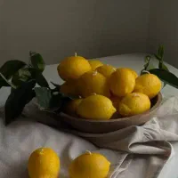 فروش جعبه سینی رزینی دریایی شمع|صنایع دستی و سایر لوازم تزئینی|سیرجان, |دیوار