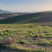 یک هکتار زمین زراعی دارای اب و برق