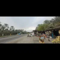 نیازمند فروشنده در خرما فروشی آبپخش