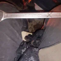 آچار رینگی سایت 24