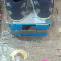 کفش|کیف، کفش، کمربند|ابریشم, |دیوار