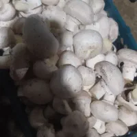 نیازمند کارگر فوری