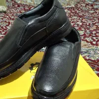 اورکت آمریکایی نو و یک جفت کفش سایز 42|لباس|الشتر, |دیوار
