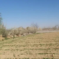فروش ۷۰۰ متری در تهران دشت سعید آباد کردان جنوبی|فروش دفتر صنعتی، کشاورزی، تجاری|هشتگرد, تهران دشت|دیوار