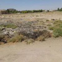 فروش زمین ۴۸۰۰ متری در زمان زاده|فروش زمین و ملک کلنگی|قم, زمان زاده|دیوار
