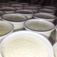 ماست کیلو 75000