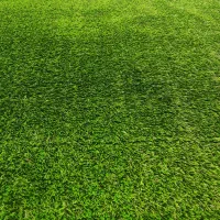 چمن بهاره 15میل