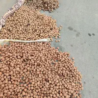 گردو،،حبوبات