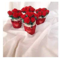 باکس گل لیوانی زیبا با گل های سرخ