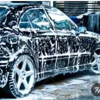 همکار کارواش