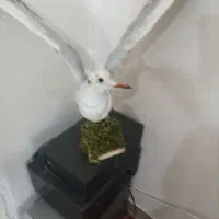 مجسمه|مجسمه، تندیس، ماکت|آبادان, |دیوار