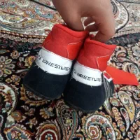 کفش کشتی سایز ۳۸|تجهیزات ورزشی|شاهین دژ, |دیوار