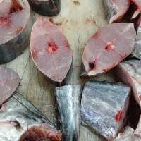 ماهی تازه|ماهی|جهرم, |دیوار