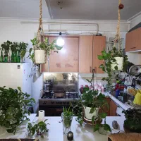 آپارتمان. نقلی و دنج