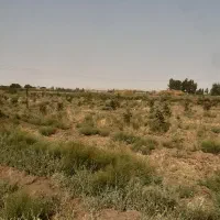 1000مترباغ-پسته-جاده-قدیم-کاشان