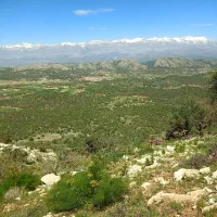 فروش ۲۳۰ متر زمین گلزار
