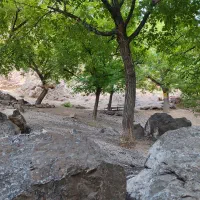 کار گر باغ وکشاورزی