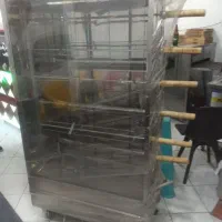 دستگاه بریونی