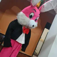 اجرا تنپوش عروسکی|خدمات پذیرایی، مراسم|بندرعباس, |دیوار