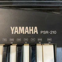 کیبورد پیانو|پیانو، کیبورد، آکاردئون|بجنورد, |دیوار