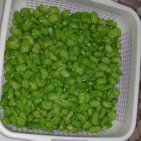 باقالی خانگی پاک کرده