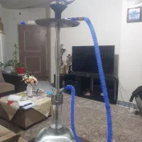 ۱۶ عدد قلیون کرنو