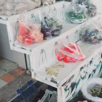 تعدادی آیینه ویک عدد ترازو ۵۰کیلویی پرینتر دار|فروشگاه و مغازه|مرودشت, فرهنگ|دیوار